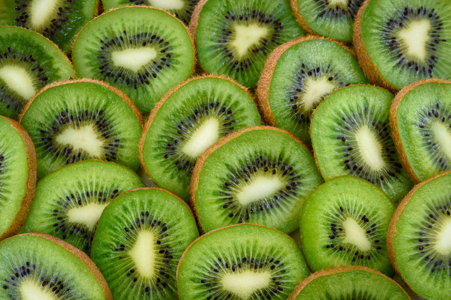 VERANO